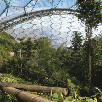 Live from Eden Project, the World’s Largest Indoor Rainforest